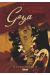 Goya, le terrible sublime