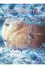 Colonisation tome 6