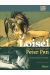 Loisel, dans l'ombre de Peter Pan