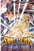 saint Seiya - the lost canvas tome 14