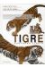 tigre - panthera tigris - artbook