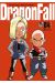 Dragon fall - ultimate tome 4