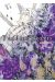 Pandora hearts tome 18