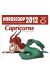 Horoscoop 2012 ; capricorne