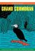 Grand cormoran