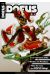 DOFUS MAG N.31