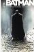 Batman - sombre reflet tome 1