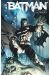 Batman tome 1 - la cour des hiboux