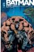 Batman knightfall tome 1