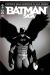 Batman saga tome 11