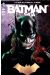 Batman Saga tome 18