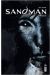 Sandman tome 3