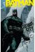 Batman no man's land tome 1