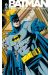 Batman knightfall tome 5