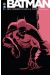 Batman - Des ombres dans la nuit