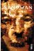 Sandman tome 5