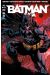 Batman Saga tome 22