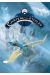 Le château des étoiles tome 2 (grand format)