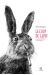 le coup du lapin et autres histoires extravagantes