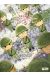 Peleliu tome 5