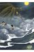 Peleliu tome 9