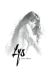 Lys (artbook)