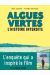Algues vertes, l'histoire interdite