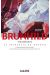Brunhild tome 2 (light novel)
