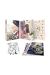 Helena & Mr Wolf - coffret tomes 1 et 2