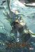 Carciphona tome 5