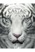 Castan tome 4