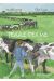 Terre ferme