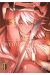 Tales of wedding rings tome 3