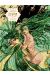 Djinn (grand format) tome 1