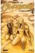 Claymore tome 4