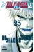 bleach tome 25 - no shaking throne