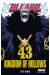 bleach tome 43 - kingdom of hollows