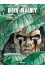 Les tours de Bois-Maury tome 15