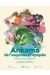 Ankama, de l'esquisse à l'épopée