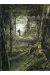 au nom du fils (ciudad perdida) Tome 1