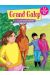 Grand Galop Tome 6 ; Il Faut Sauver Comanche !
