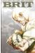 Brit tome 3 - gueule cassée