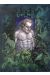 le bois des vierges tome 3 - coffret + cale