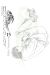 homunculus tome 15