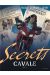 secrets - cavale tome 3/3