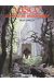 Vasco tome 20 - le dogue de brocéliande