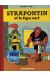 strapontin et le tigre vert