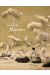 la ballade de Magdalena tome 1 et tome 2 (fourreau)