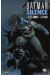 batman ; silence