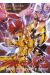 Saint Seiya episode g tome 19